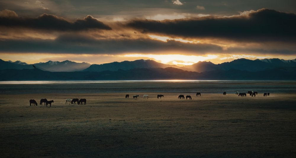 Ganado pastando al atardecer con la sierra al fondo