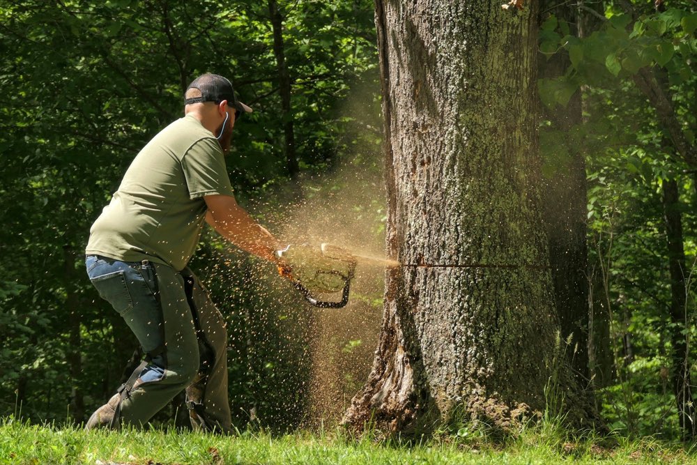 Hombre cortando un tronco con motosierra en el bosque