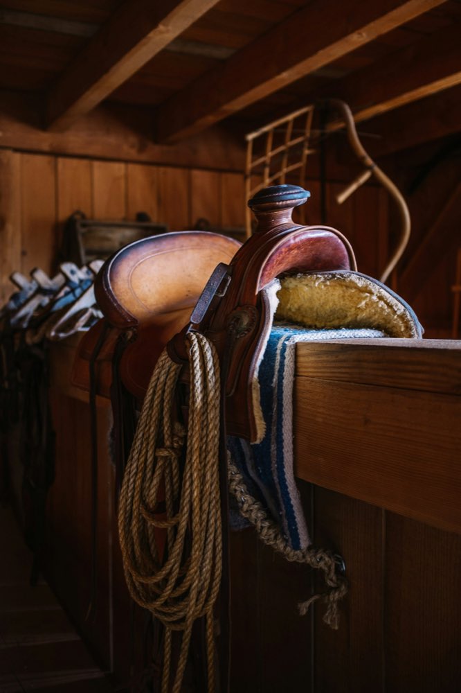 Monturas y avío de piel colgados en el cuarto de sillas