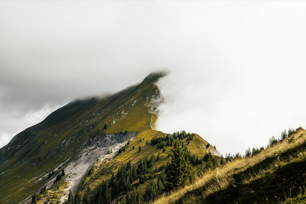 Cumbre de la sierra entre la niebla